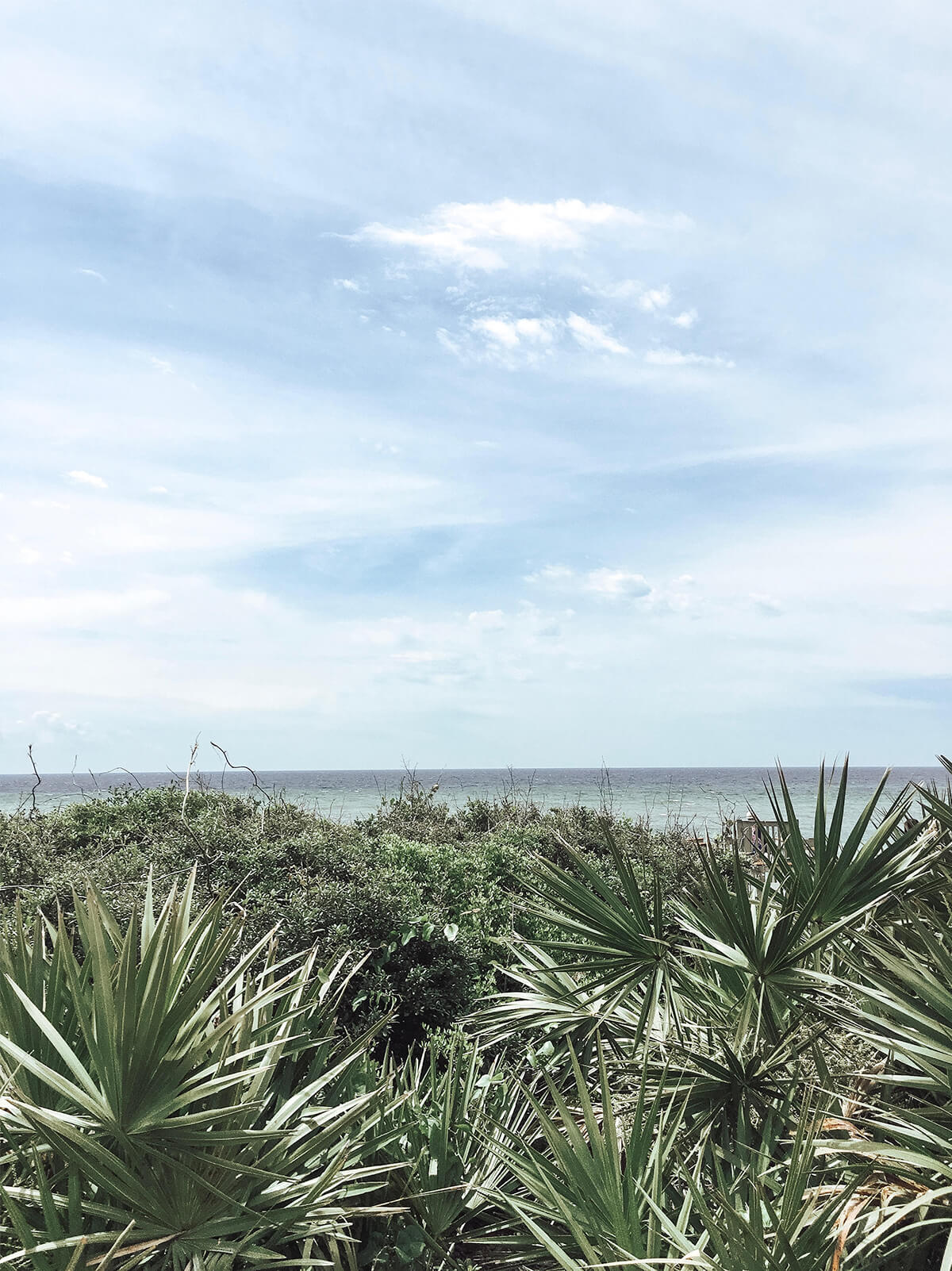 View of palm trees and ocean from coast of Alys Beach, FL