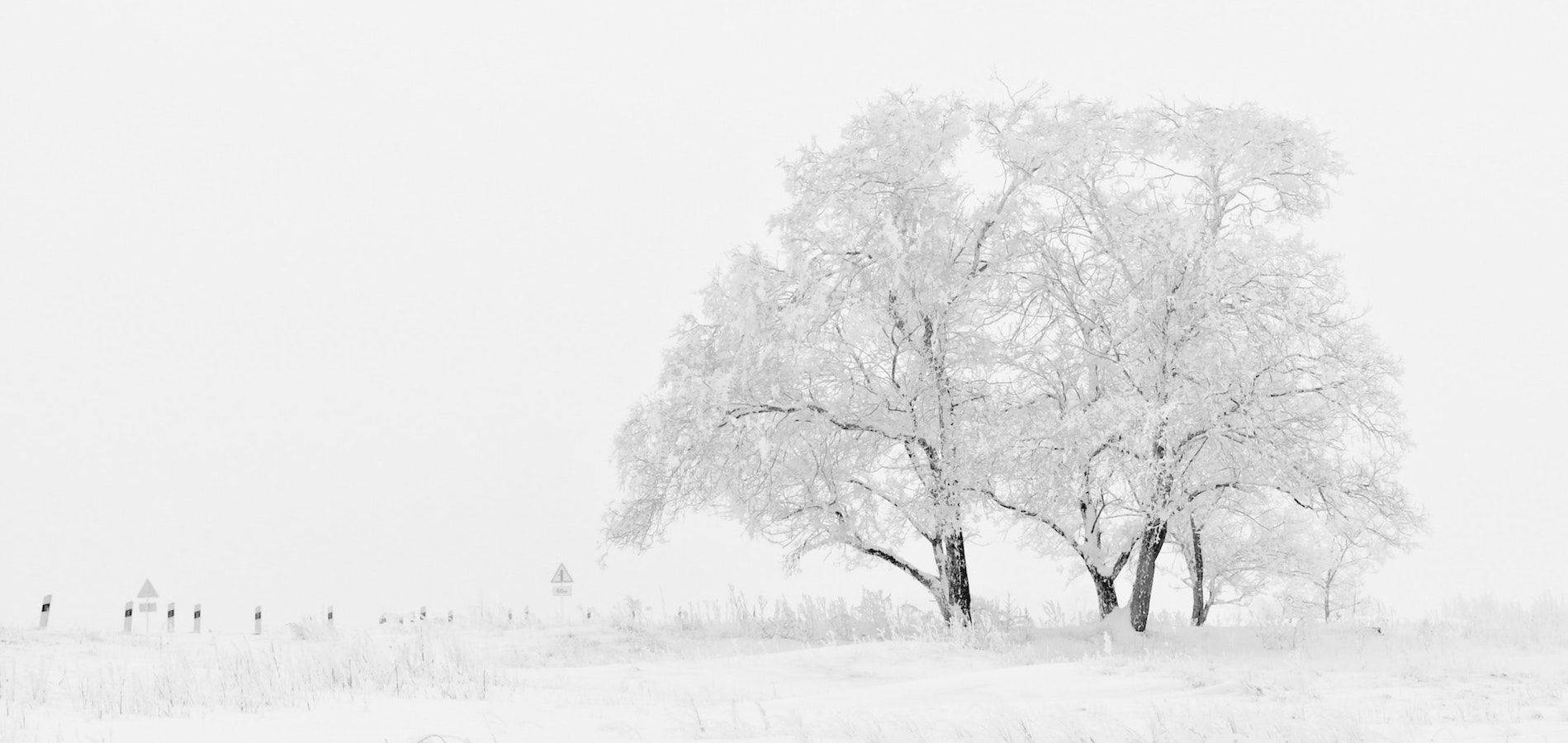 10 Winter Photography Tips To Capture The Season