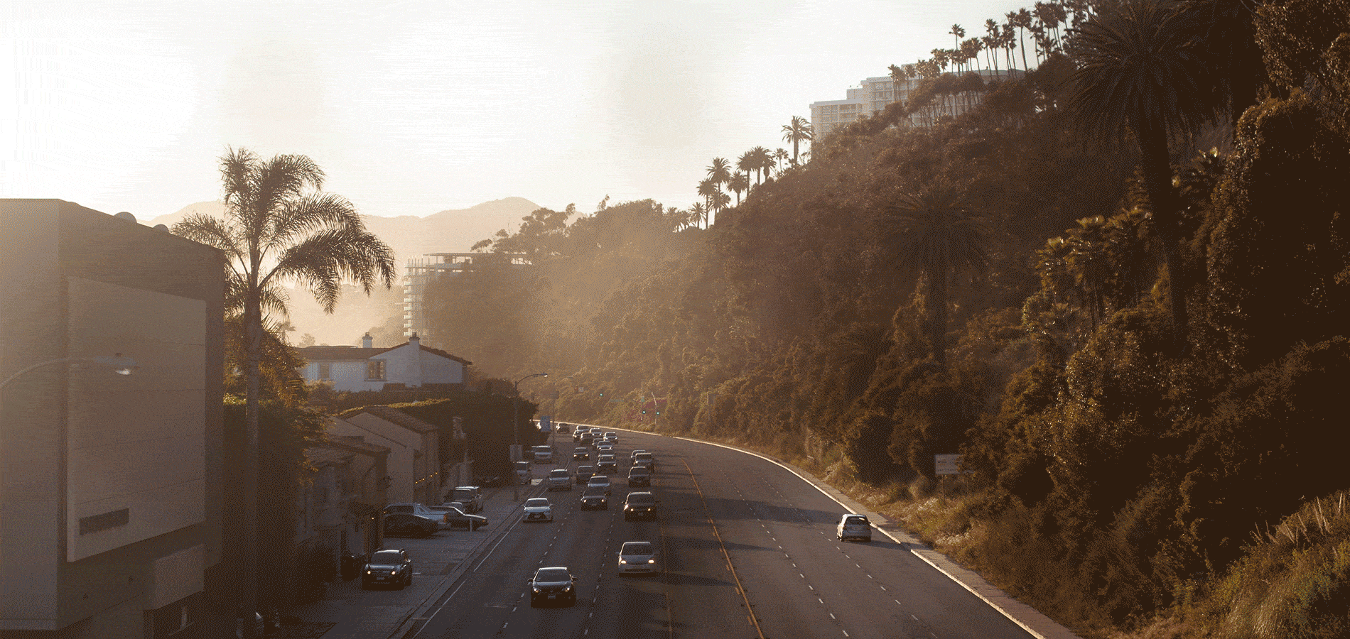 Gif of highway lined with palm trees showing how to edit photos on iPhone