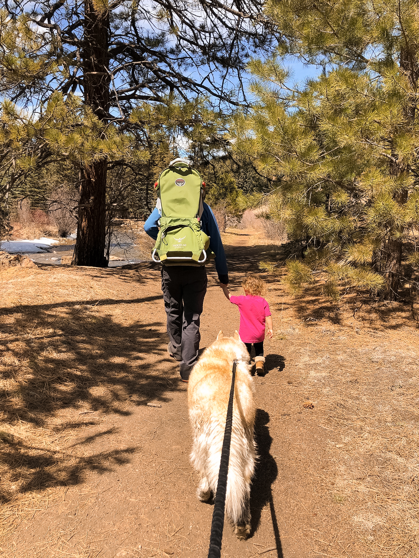 Brad, daughter, and dog hiking