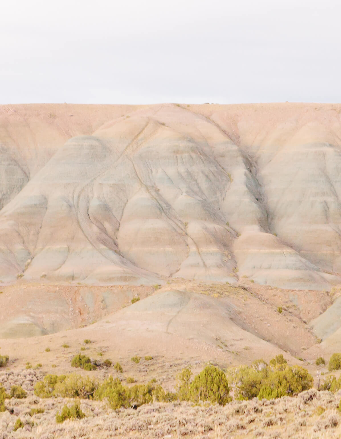 Photo by Brandon Lopez of arid mesa landscape